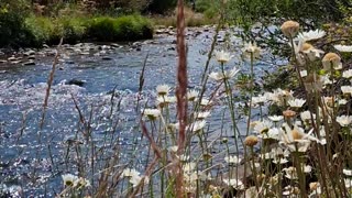 Blue River Serenade