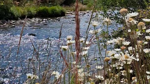 Blue River Serenade