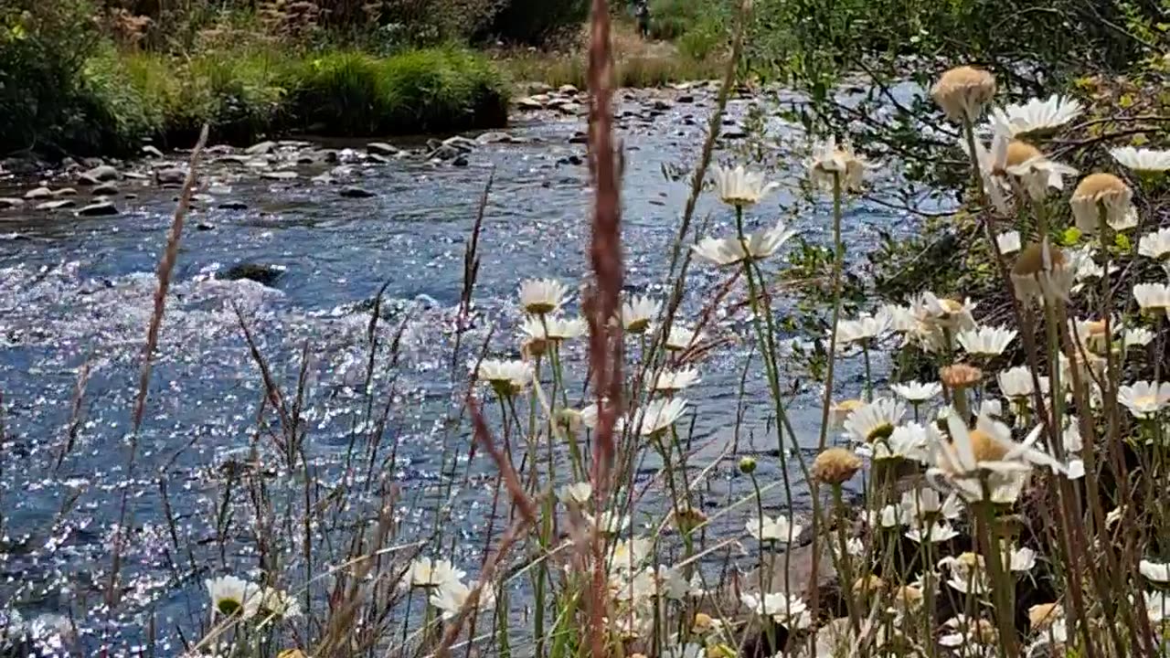 Blue River Serenade