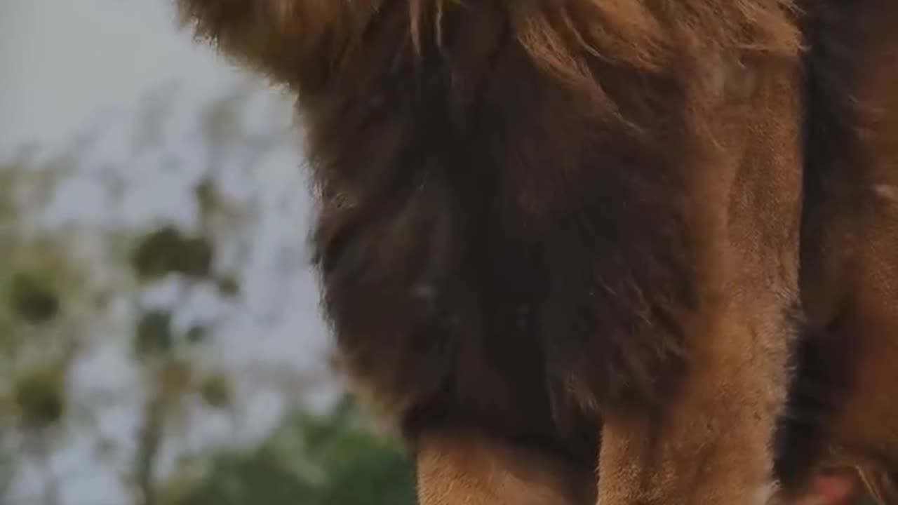 YOU MUST TELL YOUR SELF.