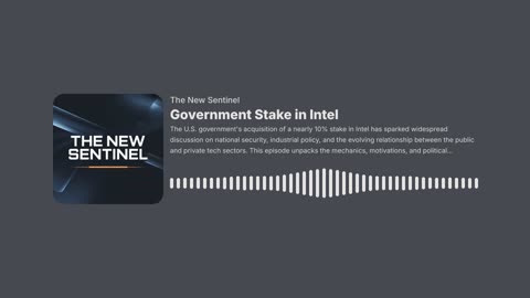 Government Stake in Intel