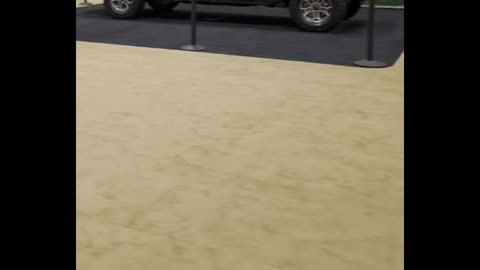 $2M Hypercars & Electric Beasts at the NY Auto Show!