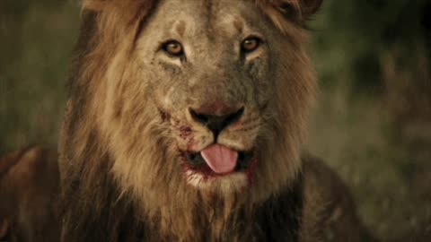 NEW EPSTEIN FILES REVEAL BioWeapons, Spiritual, Consciousness Suppression