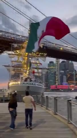 RETARD MEXICAN SHIP CRASHES INTO THE BROOKLYN BRIDGE WITH SANDNIGGER MUZZIES ALL OVER THE PLACE