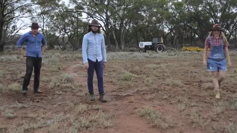 Koala Nutbush - Line Dance