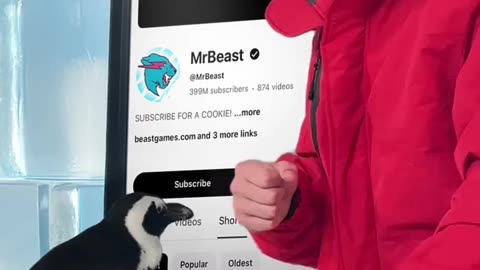 MrBeast shorts video Hindi