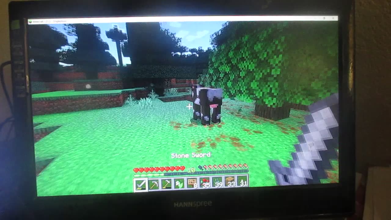 Minecraft Monday Night: April 21st, 2025.