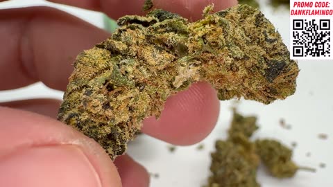 EXPOSING my latest haul from LIT FARMS! Best Essential Ever? The Dank Flamingo