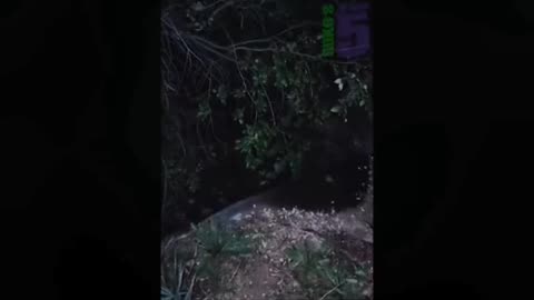 👻🧟‍♂️ Shocking Ghost Encounter! You Won't Believe This | TheHauntingHour