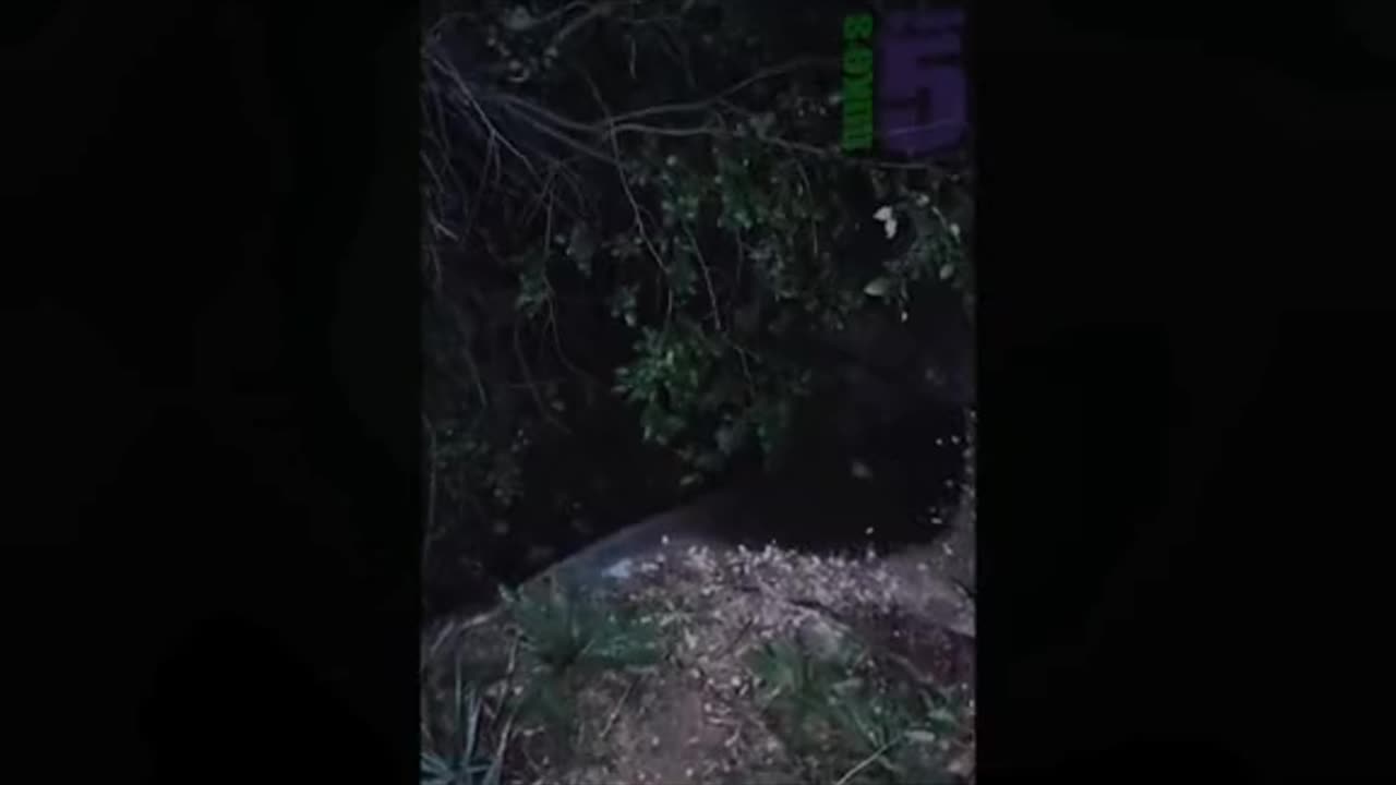 👻🧟♂️ Shocking Ghost Encounter! You Won't Believe This | TheHauntingHour