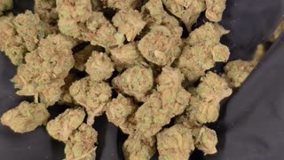 THCa Flower - 1 Oz - White Truffle