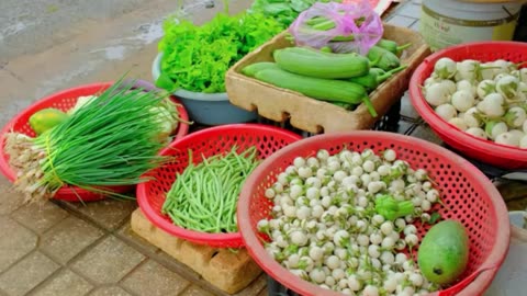 part 2 : Green Onions: Growing, Harvesting & Tasty Recipe Ideas