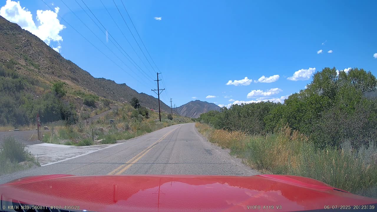Deer Strike in Toyota Supra