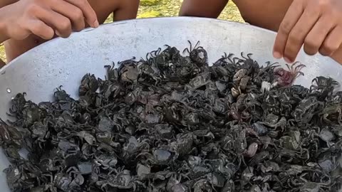 Does anyone know the name of this dish? 🤣