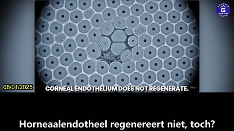 【NL】Pfizers COVID-19 mRNA vaccin vernietigt 8,4% van de niet-hernieuwbare oogcellen