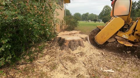 Stump Grinding Several Stumps in Huntsville
