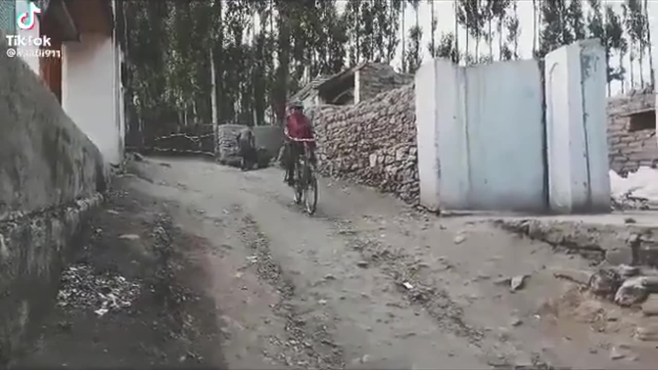 😂🚗 When You Haven't Discovered the Brakes Yet! | FunFM
