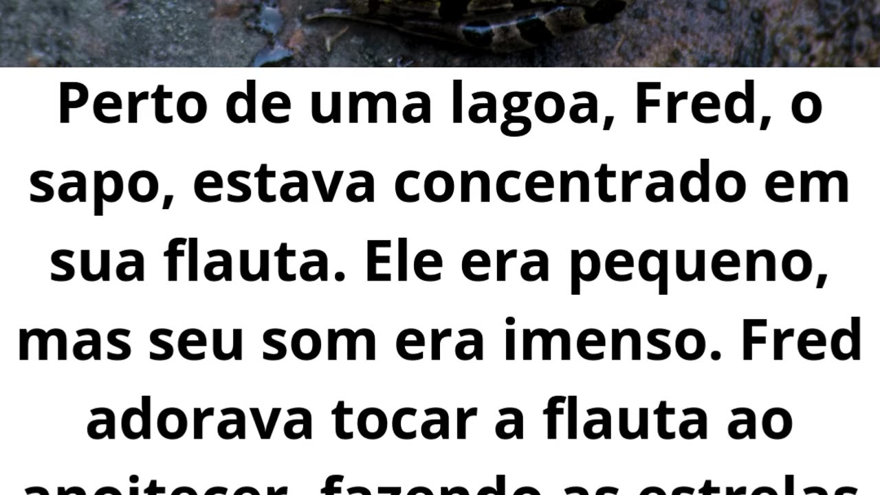 A Grande Sinfonia da Floresta.mp4