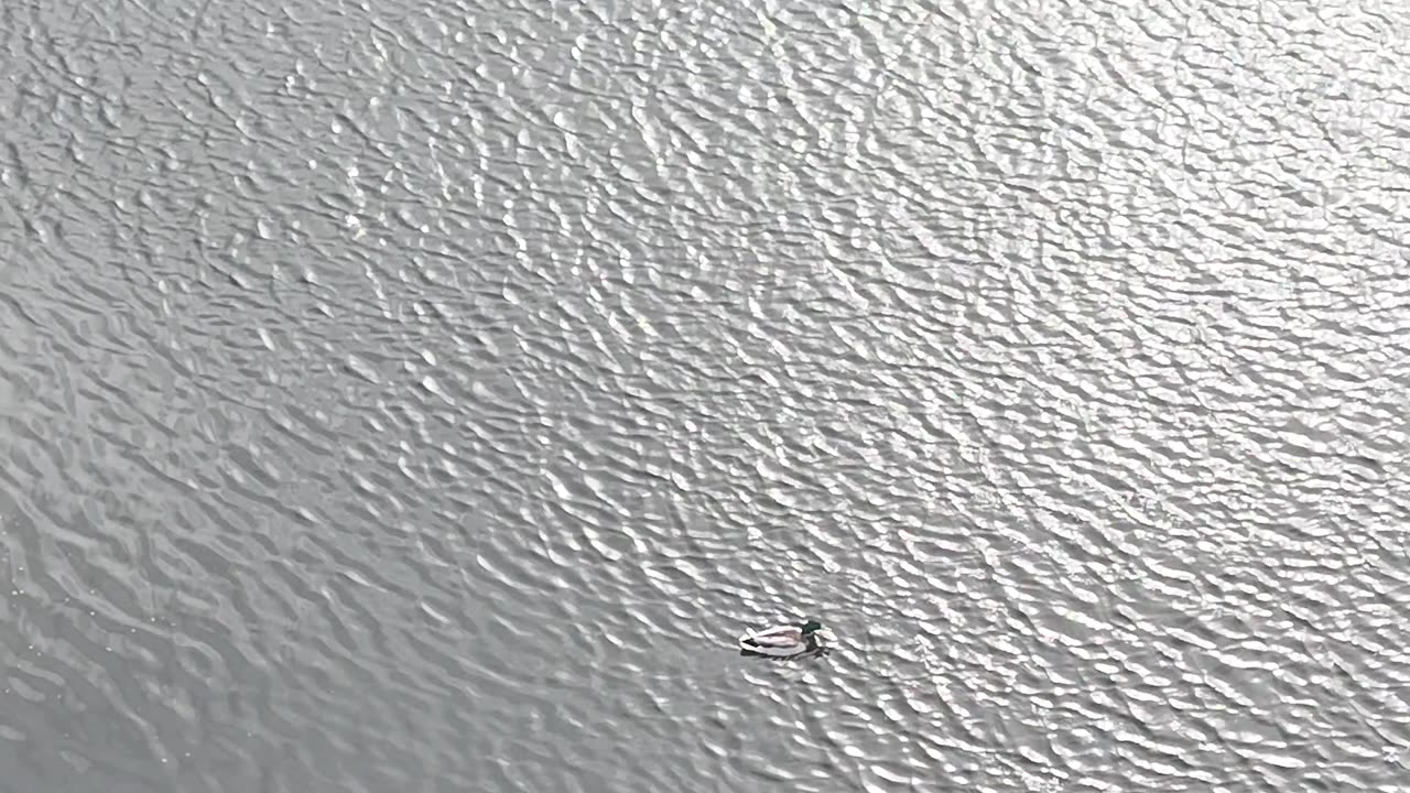 Tchaikovsky - Romance in F Minor, Op. 5