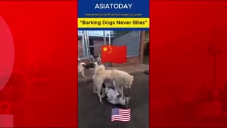 Trump's Tariff Tantrum? "Barking Dog Don't Bite"