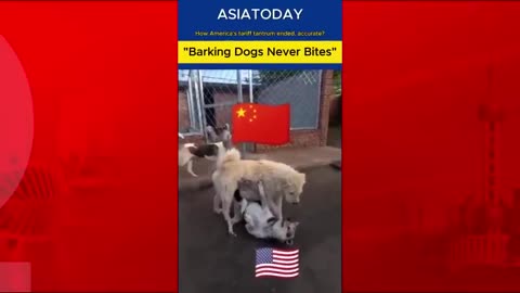 Trump's Tariff Tantrum? "Barking Dog Don't Bite"