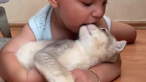Cute baby playing with cute cat 🐈
