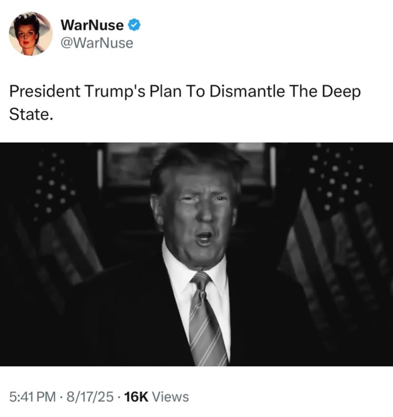 President Trump’s Plan To Dismantle The Deep State