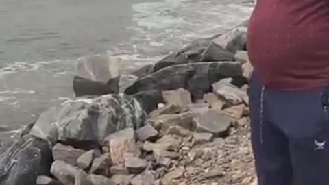 Viral: Fish Hunting viral video