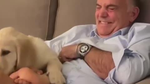 Dads with dogs they "didn't want"