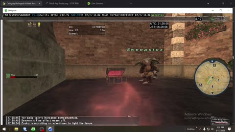 Playing Final Fantasy XI Online