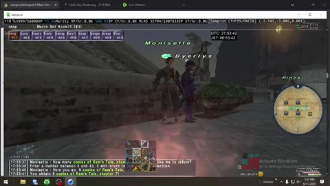 Playing Final Fantasy XI Online