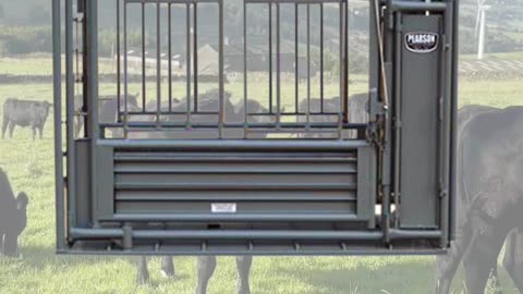 American-Made Squeeze Chute