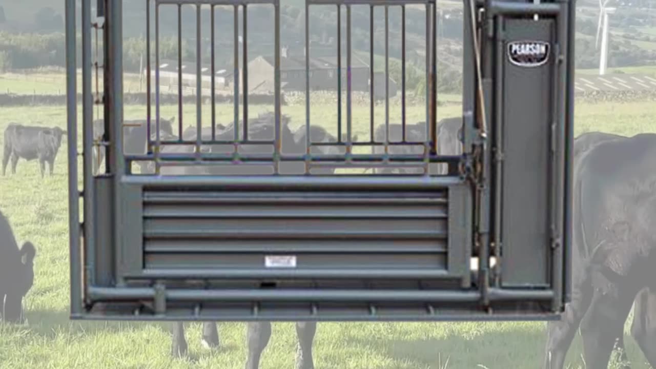 American-Made Squeeze Chute