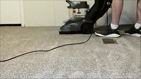 Shampooing some carpets today.