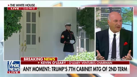 Kevin O'Leary RIPS democrats bashing President Trump for cleaning up crime in DC.