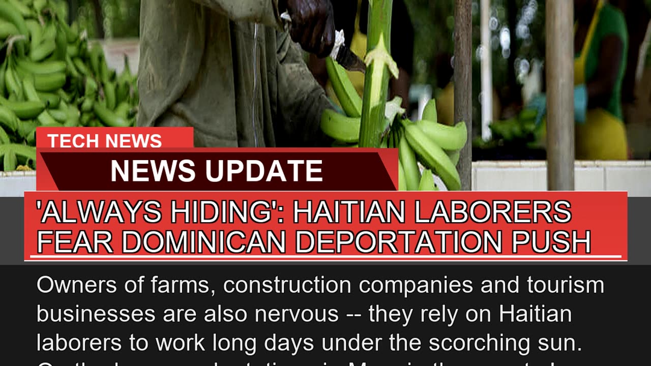 Always Hiding Haitian Laborers Fear Dominican D