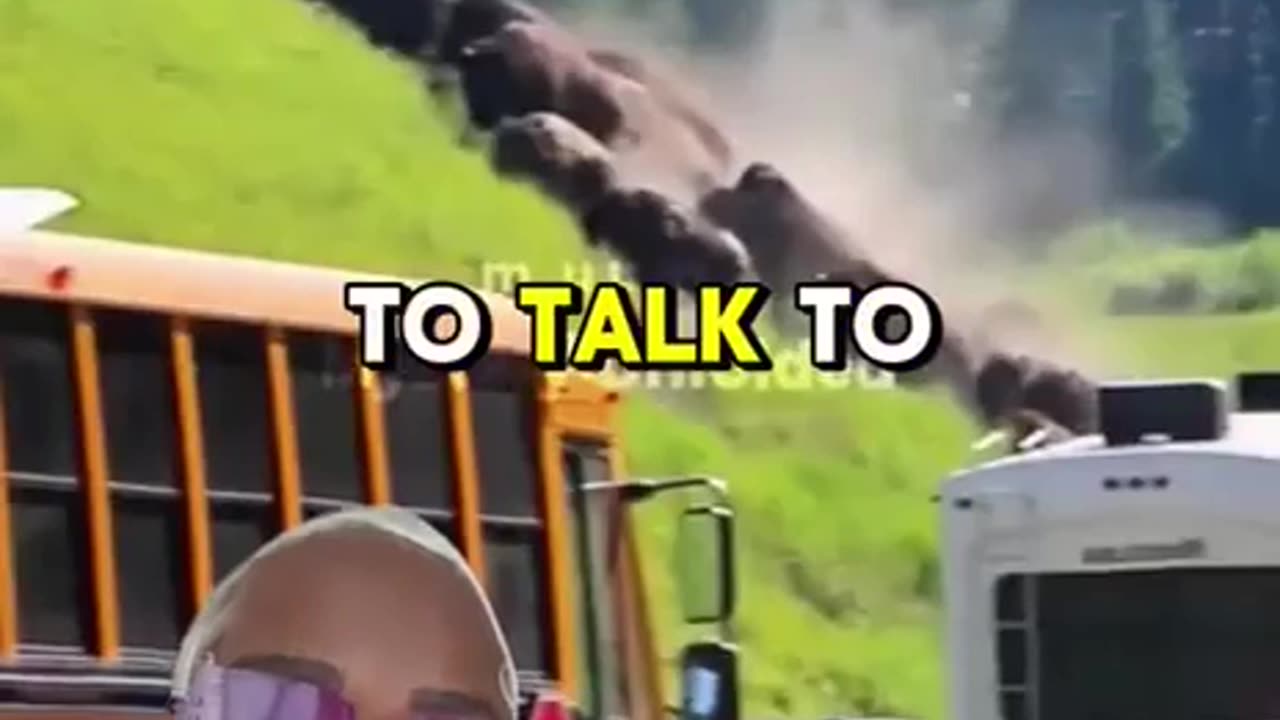 Wat is er gaande in Yellowstone park