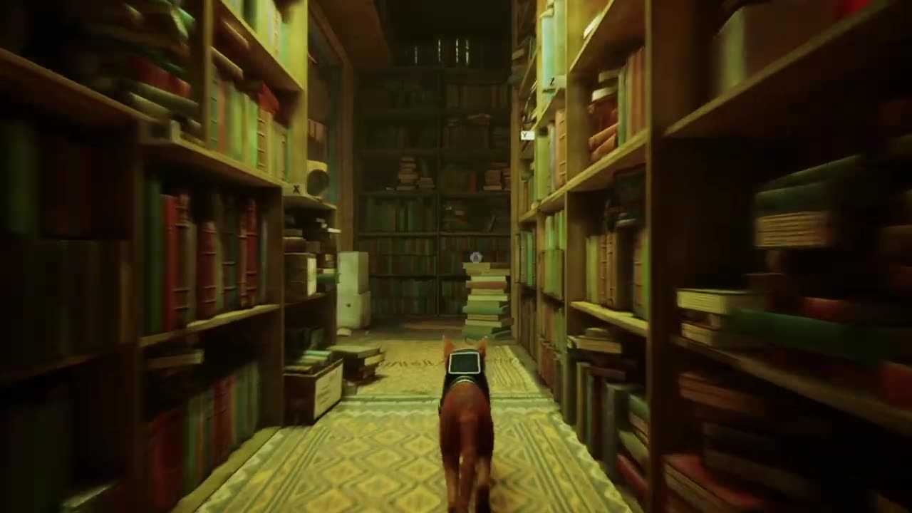 Stray Part 1 (Playthrough)