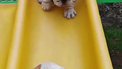 😊