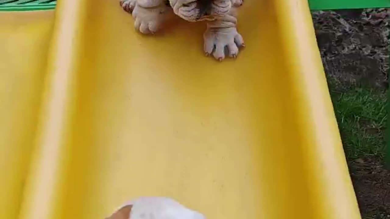 😊