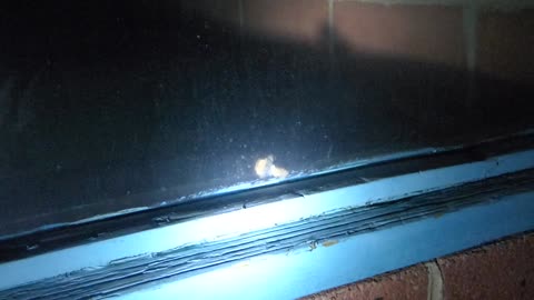 Strange thing upon window at pool