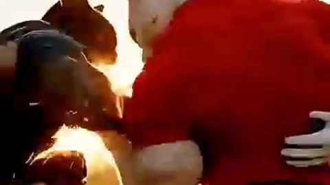 Little cat's father fight for him.