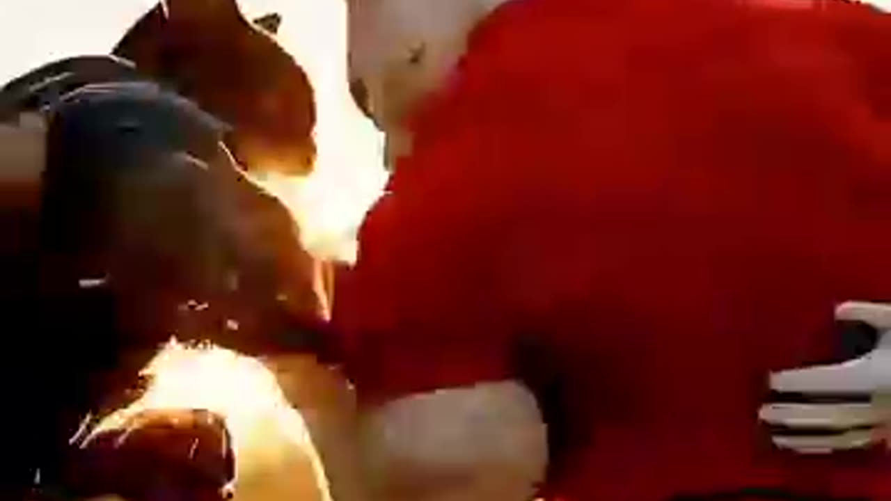 Little cat's father fight for him.
