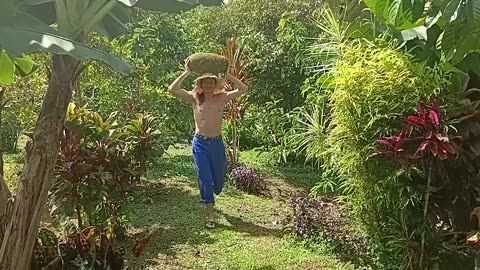 ...continuation of Jack