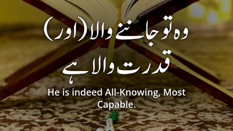 Surah Al shura Ayat 50-49 #trendingshorts #viralvideo #quran #quranic #shortvide #shortsfeed