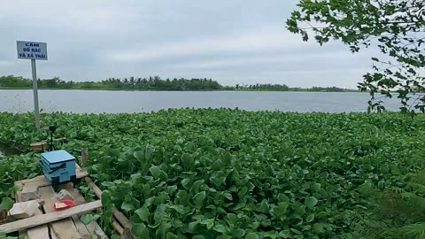 Crappie Conquest Best Spots