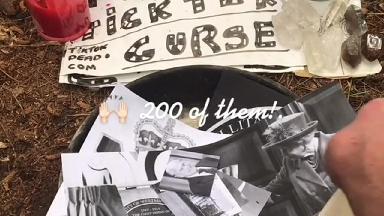 Tim Rifat TikTok Videos