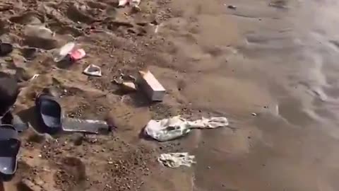 Welcome to Belgium... trashed by Migrants