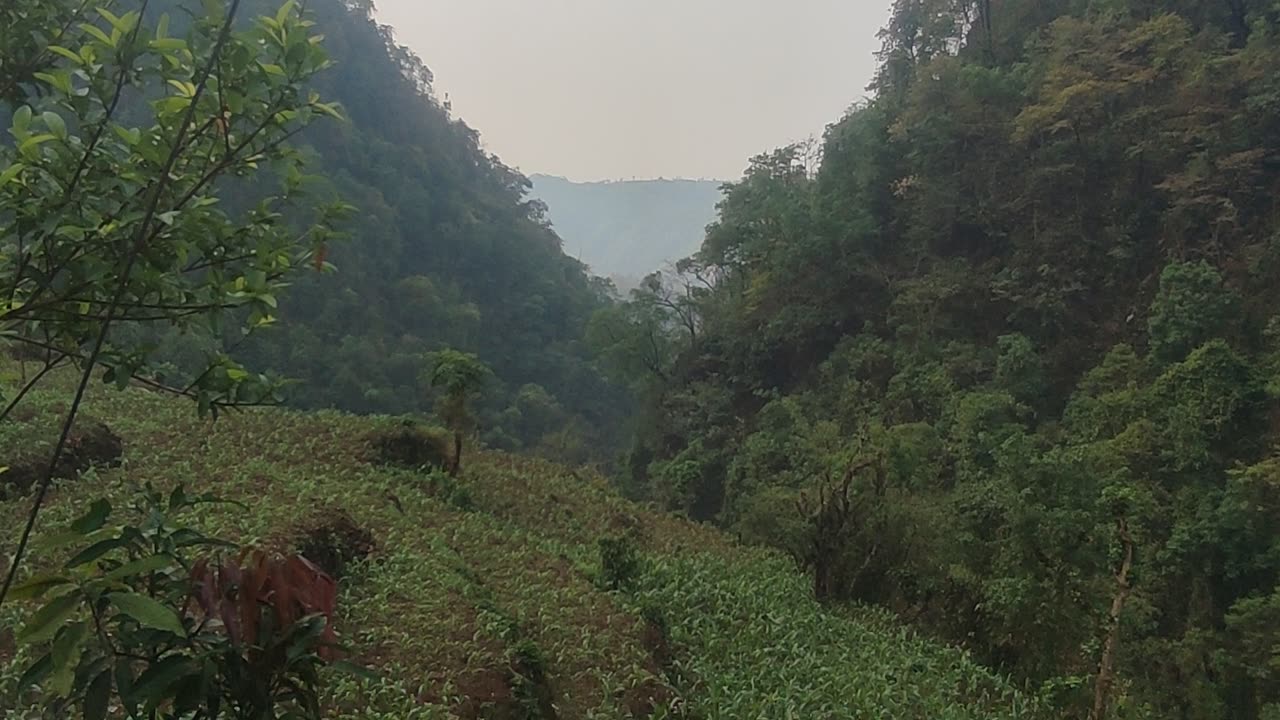 Natural place 🎉🎉🎉🎉