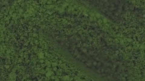 Matcha Magic: Ritual Secrets for Mindful Energy
